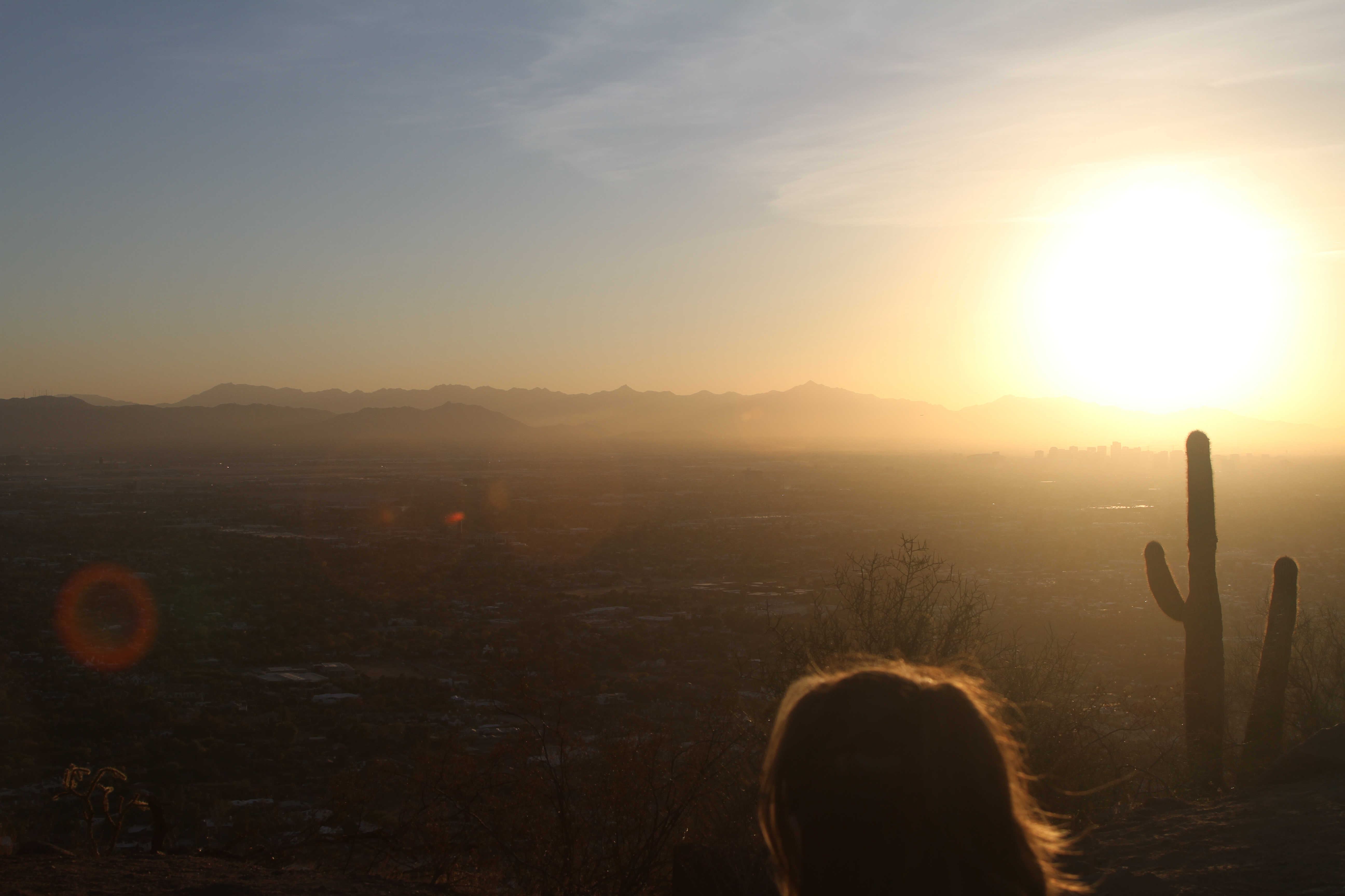 1772606246175 5 faaac8c6 47ea 4334 9553 ee841e74112c img 3676