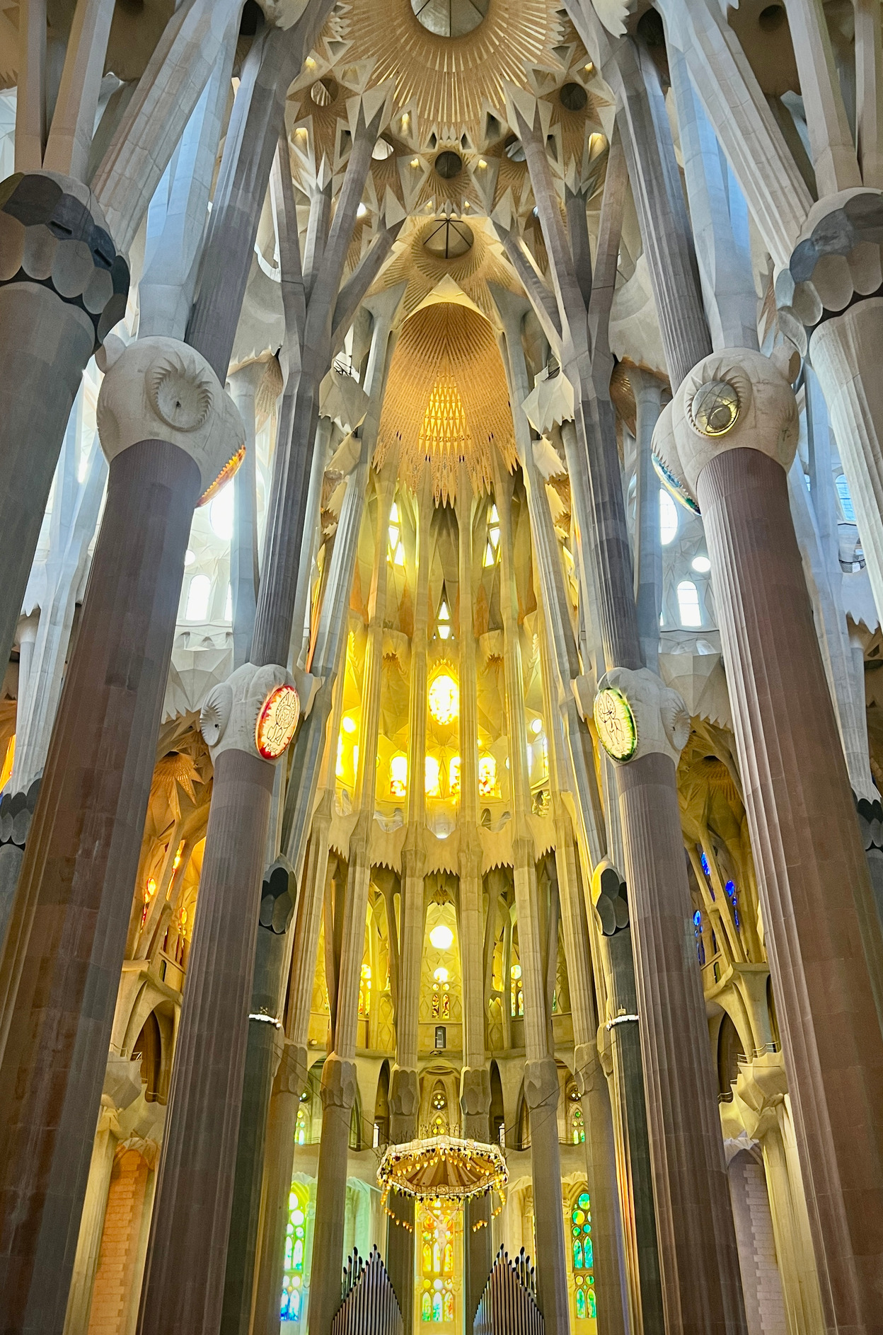 1772606246175 9 d899a105 bcdd 4fa7 9b90 45a8c70c1646 img 7888